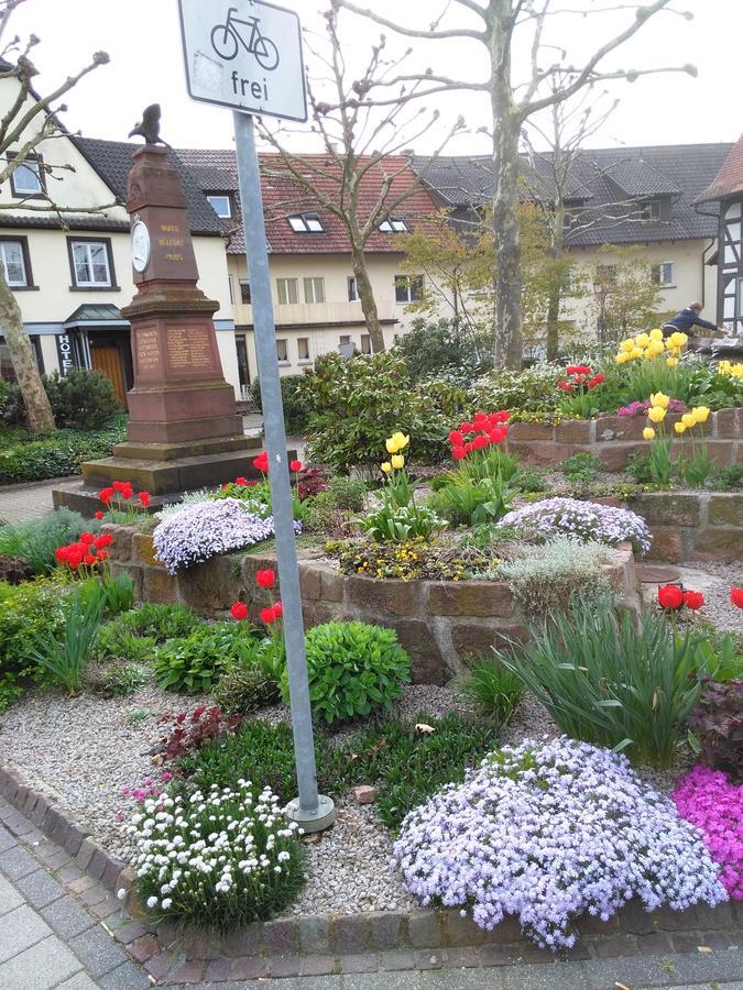 Hotel Am Hindenburgplatz 아펜베이에르 외부 사진
